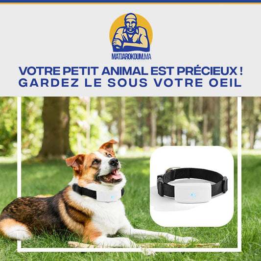 COLLIER TRACKER GPS  POUR CHAT ET CHIEN Matjarokom.ma