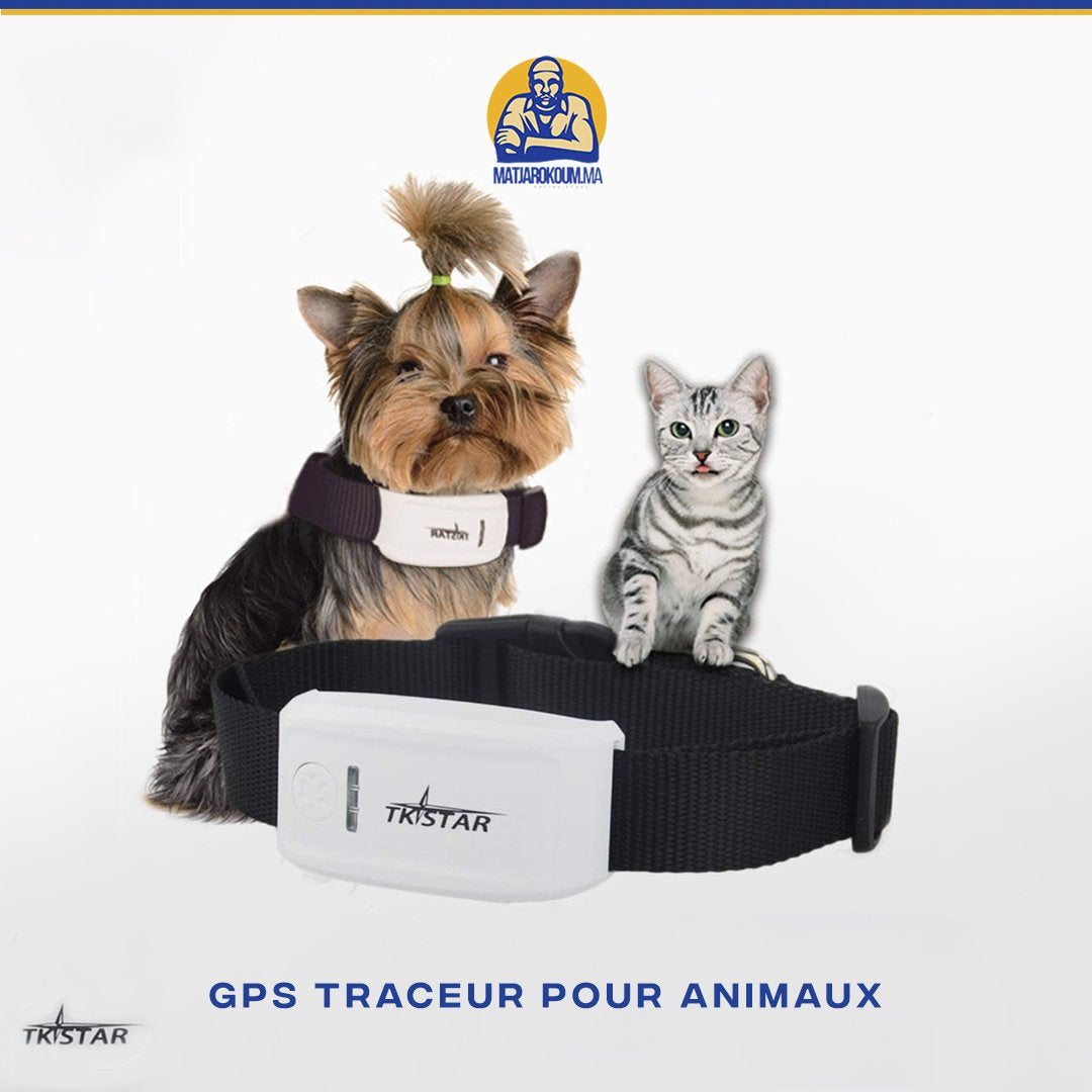 COLLIER TRACKER GPS  POUR CHAT ET CHIEN Matjarokom.ma