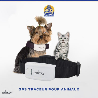 COLLIER TRACKER GPS  POUR CHAT ET CHIEN Matjarokom.ma