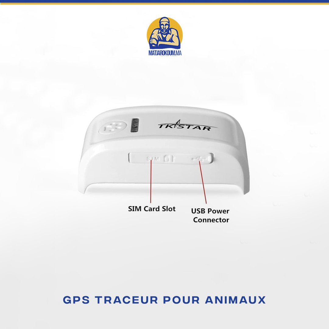 COLLIER TRACKER GPS  POUR CHAT ET CHIEN Matjarokom.ma