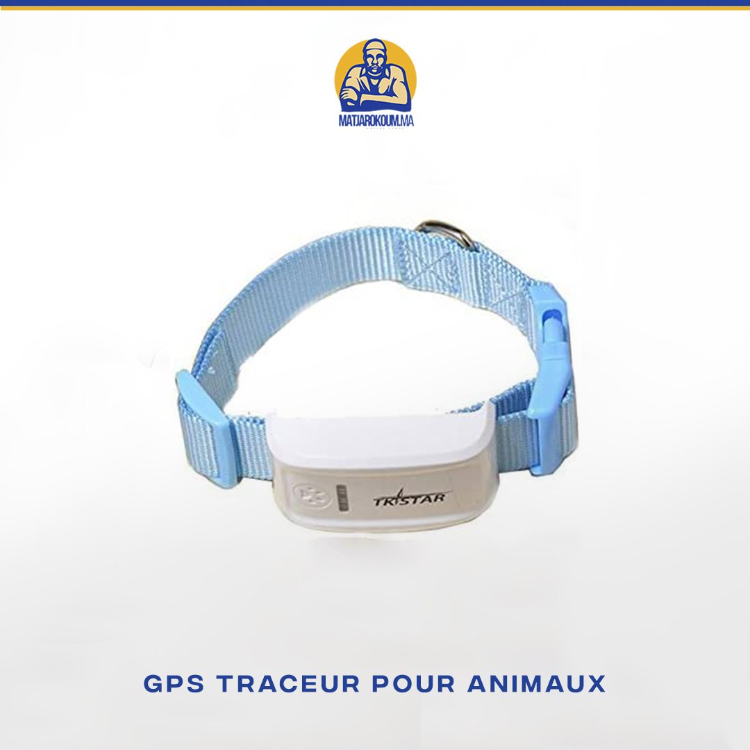 COLLIER TRACKER GPS  POUR CHAT ET CHIEN Matjarokom.ma