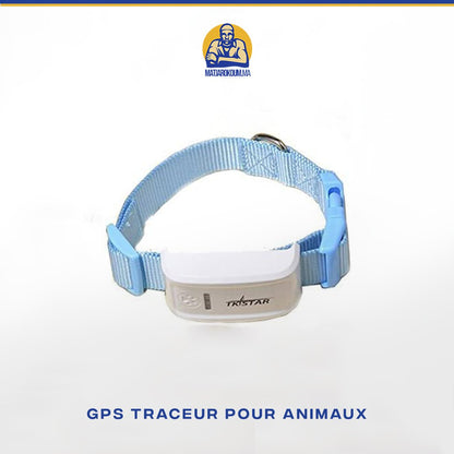 COLLIER TRACKER GPS  POUR CHAT ET CHIEN Matjarokom.ma